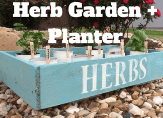 DIY Herb Planter, Earth Day, Kid Friendly DIY Activities