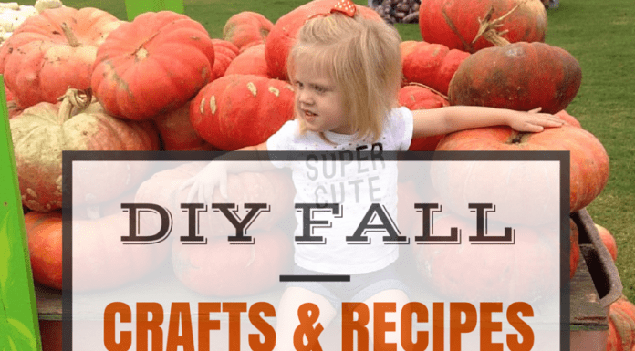 austin-moms-blog-diy-fall-crafts-and-recipes