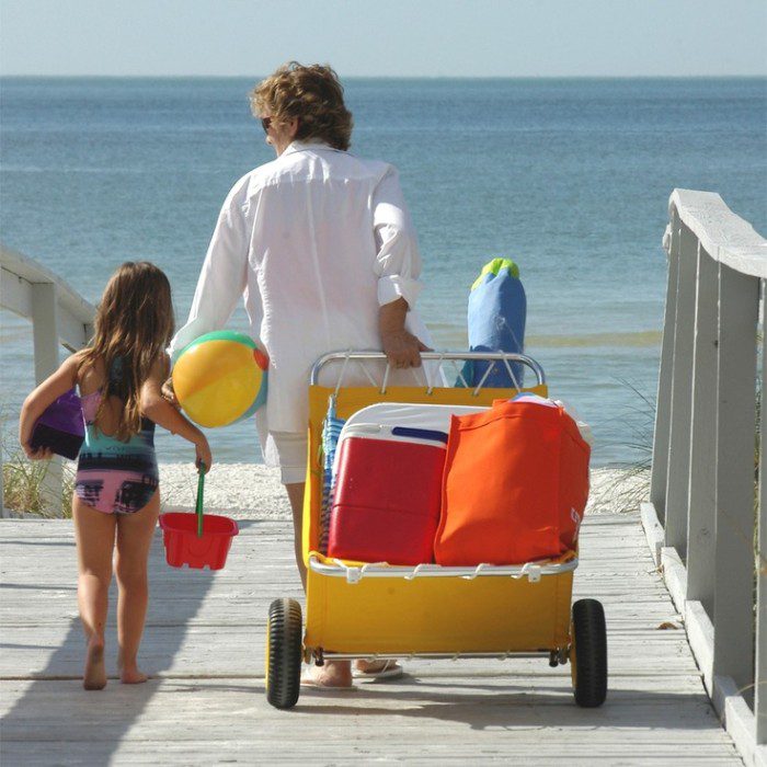 beach cart