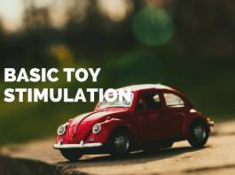 basic toy stimulation