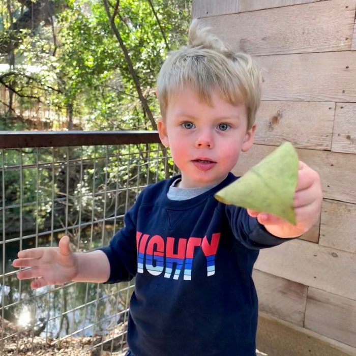 toddler boy holding a leaf