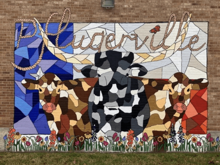 Pflugerville-murals